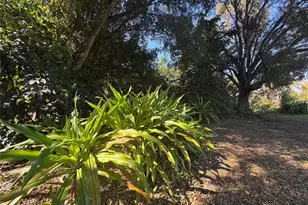 5911 SW 196th Ln, Southwest Ranches, FL 33332 - Photo 1