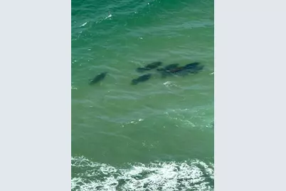 4280 Galt Ocean Drive #29C, Fort Lauderdale, FL 33308 - Photo 13