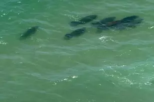 4280 Galt Ocean Dr, Fort Lauderdale, FL 33308 - Photo 13