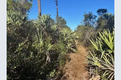 42260 93rd Avenue, Vero Beach, FL 32966 - Photo 1