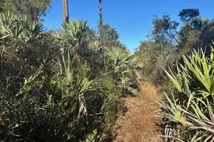 42260 93rd Ave, Vero Beach, FL 32966 - Photo 1