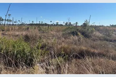 0 Hwy 630E, Frostproof, FL 33843 - Photo 5