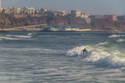 Lince Lince Lima #Unit 402, Almont, CO  - Photo 19