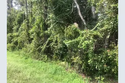 0 State Rd 33, Clermont, FL 34711 - Photo 1