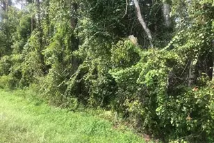 0 State Rd 33, Clermont, FL 34711 - Photo 1