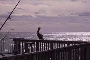 133 N Pompano Beach Blvd, Pompano Beach, FL 33062 - Photo 7