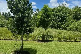 4393 Hammock Grove Dr, Lake Worth, FL 33467 - Photo 9