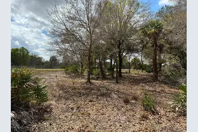 19731 NW 266th Street, Okeechobee, FL 34972 - Photo 5