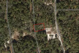 221 Rainbow Dr, Lake Placid, FL 33852 - Photo 1