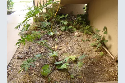 2636 Carambola Circle #1722, Coconut Creek, FL 33066 - Photo 9