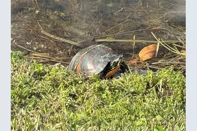 2819 NW 52nd Court, Tamarac, FL 33309 - Photo 31