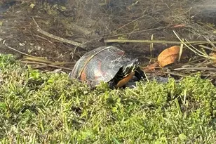 2819 NW 52nd Ct, Tamarac, FL 33309 - Photo 31