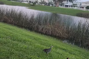 4400 Hillcrest Dr, Hollywood, FL 33021 - Photo 43