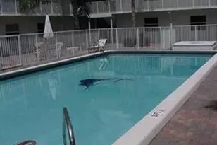 1470 N Dixie Hwy, Fort Lauderdale, FL 33304 - Photo 13