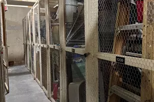 1200 Hibiscus Ave, Pompano Beach, FL 33062 - Photo 43