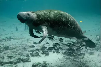 101 Briny Avenue #2207, Pompano Beach, FL 33062 - Photo 41