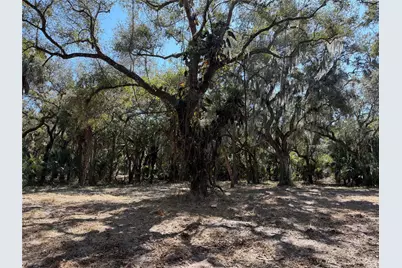 Tbd SE 40th Avenue, Okeechobee, FL 34974 - Photo 3