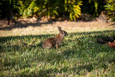 2490 NW Lakeridge Drive, Palm City, FL 34990 - Photo 43