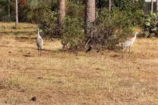 39702 NW 24th Dr, Okeechobee, FL 34972 - Photo 17