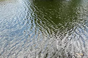 8980 NW 24th Pl, Sunrise, FL 33322 - Photo 17