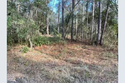 417 Incline, Satsuma, FL 32189 - Photo 1