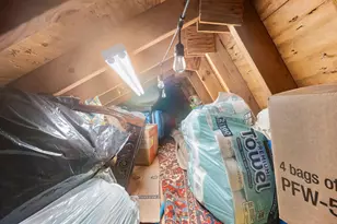 11257 SW 172nd St, Miami, FL 33157 - Photo 27