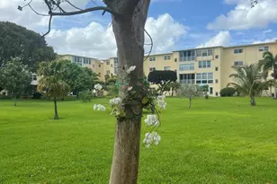 2615 NE 3rd Ct, Boynton Beach, FL 33435 - Photo 47