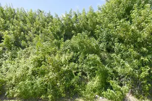 1582 SW Jacksonville Ave, Port Saint Lucie, FL 34953 - Photo 1