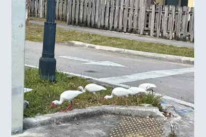 1412 NW 2nd Avenue, Fort Lauderdale, FL 33311 - Photo 67