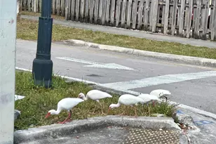 1412 NW 2nd Ave, Fort Lauderdale, FL 33311 - Photo 67