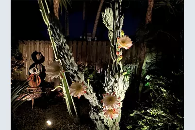 1769 NE 38th Street, Fort Lauderdale, FL 33334 - Photo 31