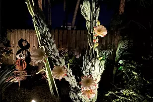 1769 NE 38th St, Fort Lauderdale, FL 33334 - Photo 31