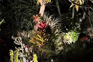 1769 NE 38th St, Fort Lauderdale, FL 33334 - Photo 33