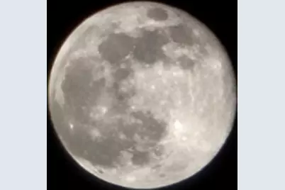 11413 Ohanu Circle, Boynton Beach, FL 33437 - Photo 49