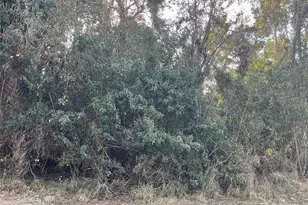 557 Drawdy Way, Sebastian, FL 32958 - Photo 1