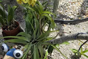 618 SW 14th Terrace, Fort Lauderdale, FL 33312 - Photo 9