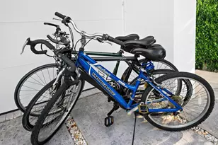 1612 SE 13, Fort Lauderdale, FL 33316 - Photo 33