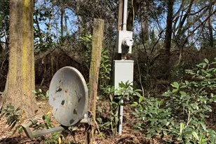 2361 178 St, Summerfield, FL 34491 - Photo 5