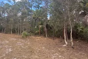 0 Turnpike Feeder Rd, Fort Pierce, FL 34945 - Photo 1