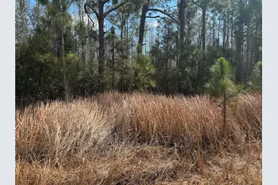 0 Old Grade Road, Polk City, FL 33868 - Photo 3