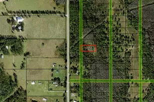 0 Old Grade Rd, Polk City, FL 33868 - Photo 1