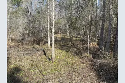 0 Old Grade Road, Polk City, FL 33868 - Photo 3