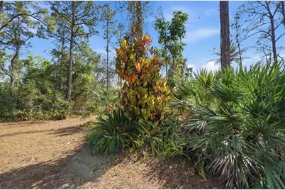 14142 Peace River Way, West Palm Beach, FL 33418 - Photo 17