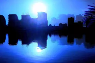 2617 Aqua Vista Blvd, Fort Lauderdale, FL 33301 - Photo 17