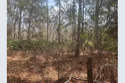 0 Old Grade Road, Polk City, FL 33868 - Photo 1