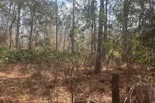 0 Old Grade Rd, Polk City, FL 33868 - Photo 1