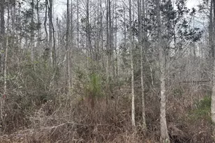 0 Old Grade Rd, Polk City, FL 33868 - Photo 1