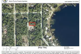 00 NE 113 Ave, Fort Mc Coy, FL 32134 - Photo 1