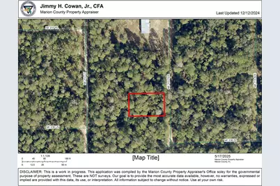 00 NE 113 Avenue, Fort Mc Coy, FL 32134 - Photo 3