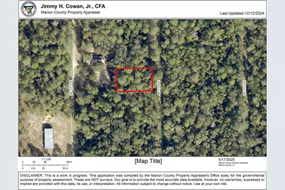 00 NE 113 Avenue, Fort Mc Coy, FL 32134 - Photo 5